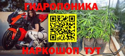ешки Дубна