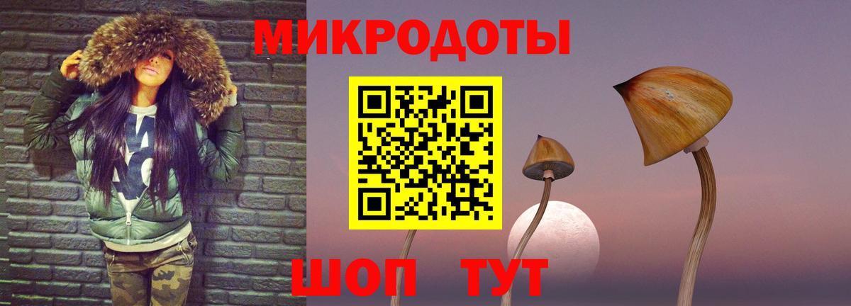 Псилоцибиновые грибы Psilocybe Минеральные Воды